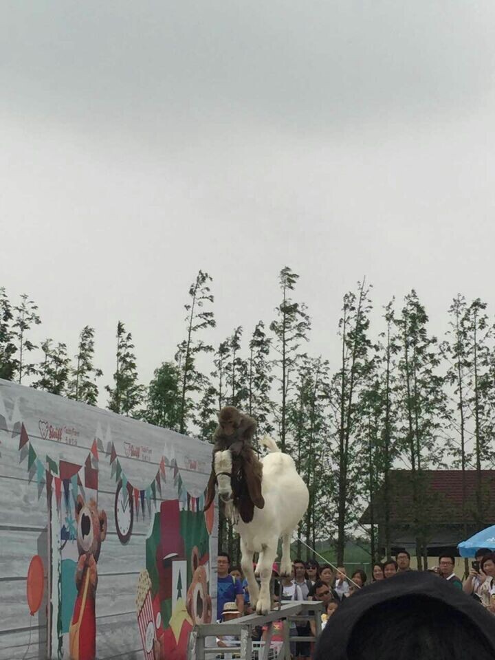 2121非凡·(中国游)体育官方网站