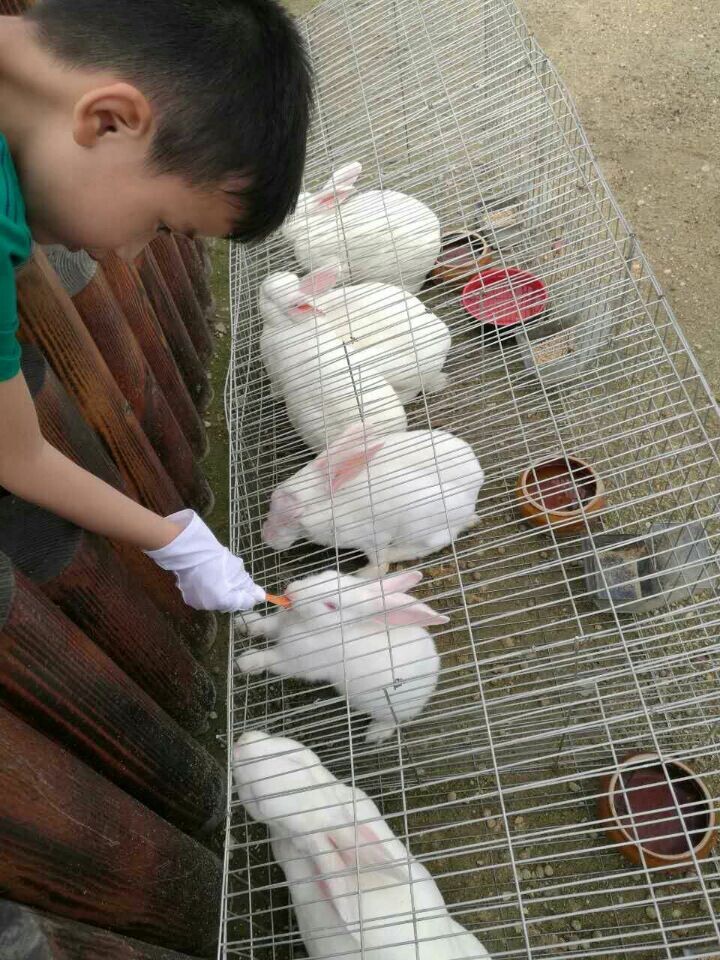 2121非凡·(中国游)体育官方网站