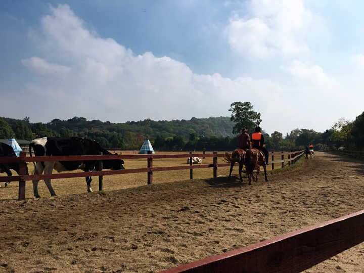 2121非凡·(中国游)体育官方网站