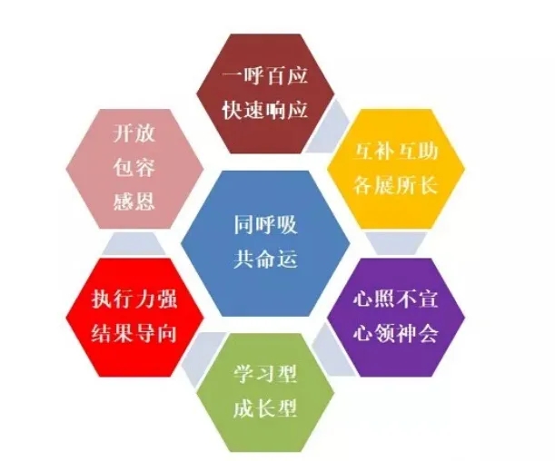 2121非凡·(中国游)体育官方网站